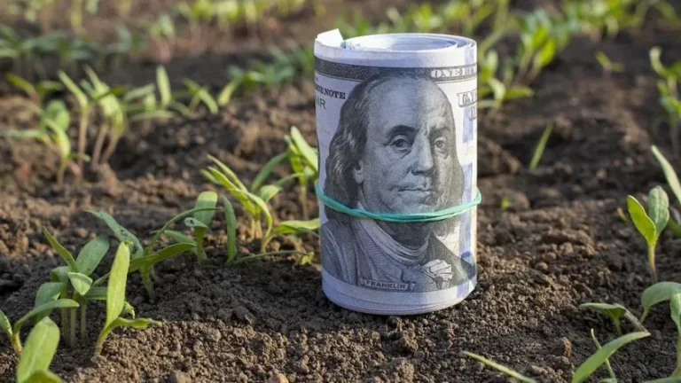 Se desploma 41% la liquidación de dólares del agro en febrero