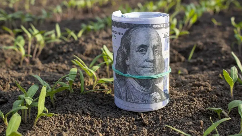 Se desploma 41% la liquidación de dólares del agro en febrero