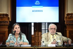 Sesión en el Senado por la designación de jueces