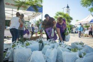 canje de reciclables