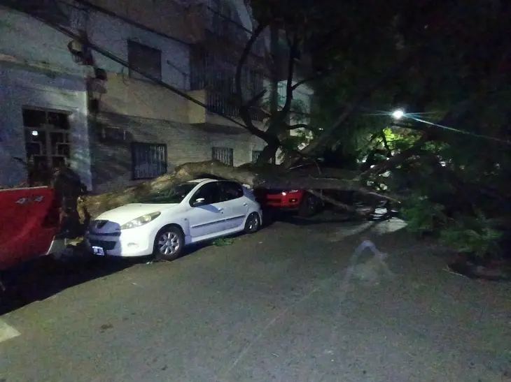 Tormenta en Rosario: árbol gigante aplastó autos en pleno centro