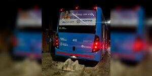 Un colectivero sufrió una descompensación y chocó contra árbol.